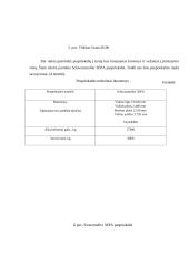 Transporto įmonės verslo plėtros planas 13 puslapis