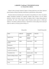 Transporto įmonės verslo plėtros planas 14 puslapis