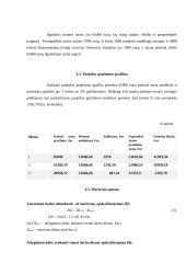 Transporto įmonės verslo plėtros planas 15 puslapis