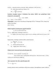 Transporto įmonės verslo plėtros planas 16 puslapis