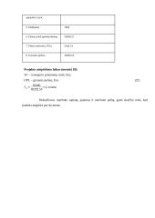 Transporto įmonės verslo plėtros planas 20 puslapis