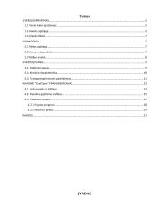 Transporto įmonės verslo plėtros planas 3 puslapis