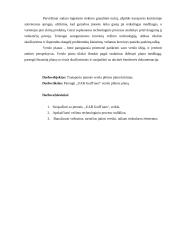 Transporto įmonės verslo plėtros planas 4 puslapis