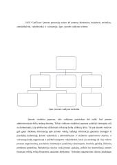 Transporto įmonės verslo plėtros planas 6 puslapis