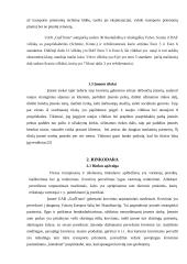 Transporto įmonės verslo plėtros planas 7 puslapis