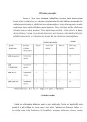 Transporto įmonės verslo plėtros planas 8 puslapis