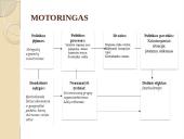 Kontrabandinių cigarečių problemos analizė Vilniaus apskrityje 19 puslapis