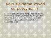 Potvyniai pasaulyje skaidrės 12 puslapis