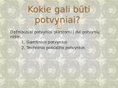 Potvyniai pasaulyje skaidrės 4 puslapis