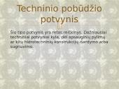 Potvyniai pasaulyje skaidrės 6 puslapis