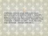 Potvyniai pasaulyje skaidrės 8 puslapis