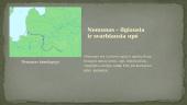 Didžiausios Lietuvos upės: Nemunas 3 puslapis