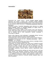 Geologijos istorijos santrupa 17 puslapis