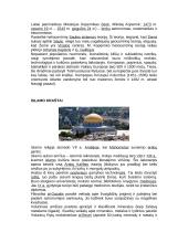 Geologijos istorijos santrupa 18 puslapis
