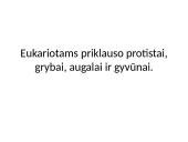 Eukariotinė ląstelė 2 puslapis