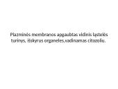 Eukariotinė ląstelė 12 puslapis