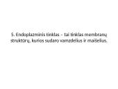 Eukariotinė ląstelė 19 puslapis