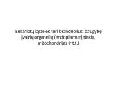 Eukariotinė ląstelė 3 puslapis