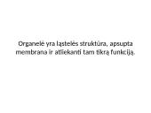 Eukariotinė ląstelė 4 puslapis