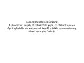 Eukariotinė ląstelė 5 puslapis