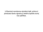 Eukariotinė ląstelė 9 puslapis