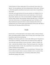 Apie Jurgą Ivanauskaitę mano akimis 7 puslapis