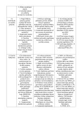 Įmonių palyginimai 7 puslapis