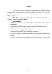 Individualus mitybos planas 2 puslapis