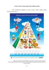 Individualus mitybos planas 17 puslapis