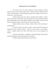 Individualus mitybos planas 19 puslapis