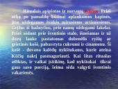 Norvegija skaidrės 19 puslapis