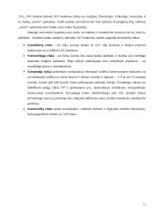 Lietuvos pinigų rinka ir jos ypatumai 12 puslapis