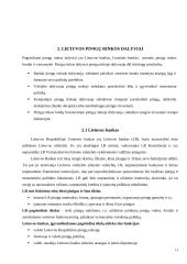 Lietuvos pinigų rinka ir jos ypatumai 13 puslapis
