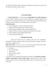 Lietuvos pinigų rinka ir jos ypatumai 15 puslapis