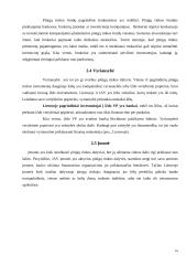 Lietuvos pinigų rinka ir jos ypatumai 16 puslapis