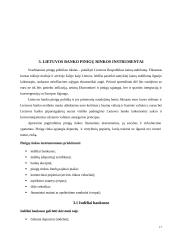 Lietuvos pinigų rinka ir jos ypatumai 17 puslapis