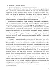 Lietuvos pinigų rinka ir jos ypatumai 18 puslapis