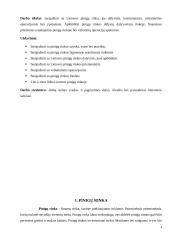 Lietuvos pinigų rinka ir jos ypatumai 4 puslapis