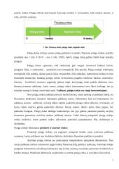 Lietuvos pinigų rinka ir jos ypatumai 5 puslapis