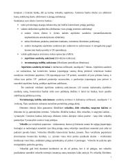 Lietuvos pinigų rinka ir jos ypatumai 7 puslapis