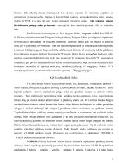 Lietuvos pinigų rinka ir jos ypatumai 9 puslapis