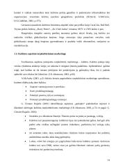 Tarpkultūrinis prekės ženklo žinomumo aspektas  14 puslapis
