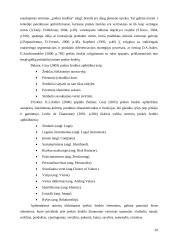 Tarpkultūrinis prekės ženklo žinomumo aspektas  20 puslapis
