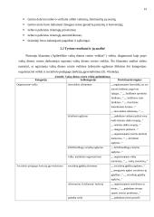 Lyderystės įgūdžių ugdymo ypatumai vaikų dienos centre 19 puslapis