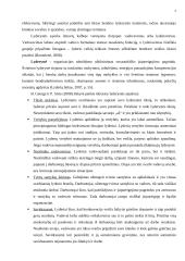 Lyderystės įgūdžių ugdymo ypatumai vaikų dienos centre 7 puslapis