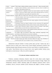 Lyderystės įgūdžių ugdymo ypatumai vaikų dienos centre 9 puslapis