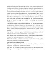 Ugdymo modelis 3 puslapis