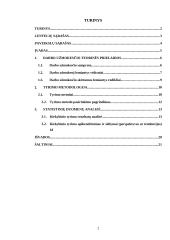 Darbo užmokesčio skirtumų lietuvos regionuose vertinimas. Referatas 2 puslapis