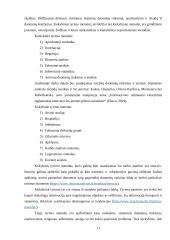 Darbo užmokesčio skirtumų lietuvos regionuose vertinimas. Referatas 11 puslapis