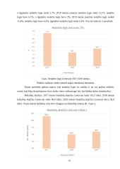 Darbo užmokesčio skirtumų lietuvos regionuose vertinimas. Referatas 15 puslapis
